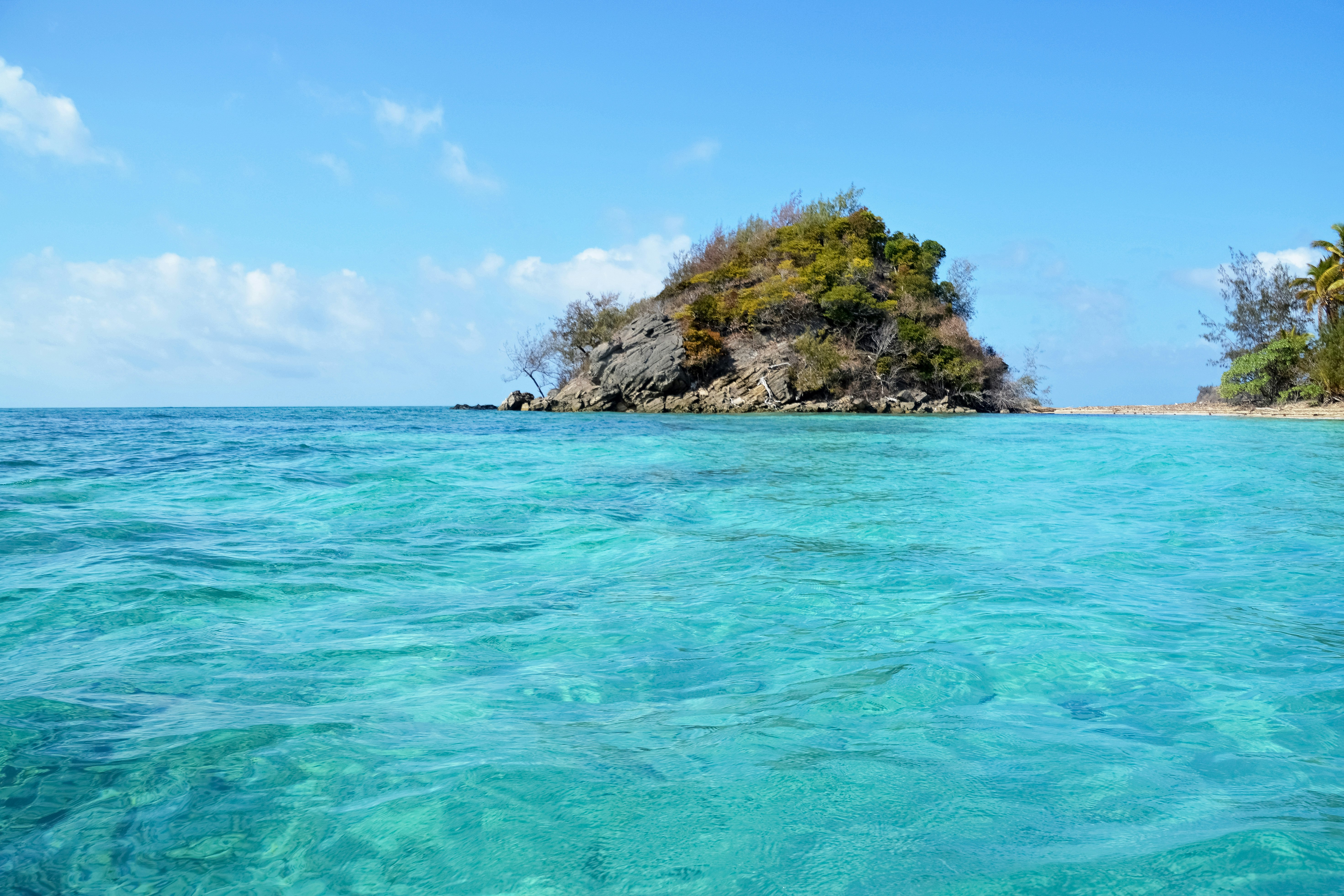 green trees on island surrounded by water under blue sky during daytime